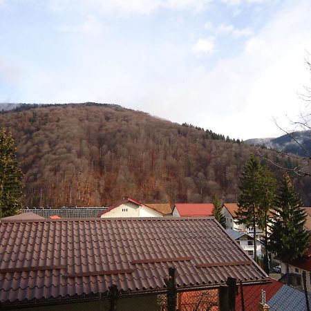 Villa Casa Serban à Sinaia Extérieur photo