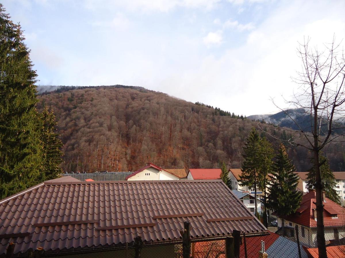 Villa Casa Serban à Sinaia Extérieur photo
