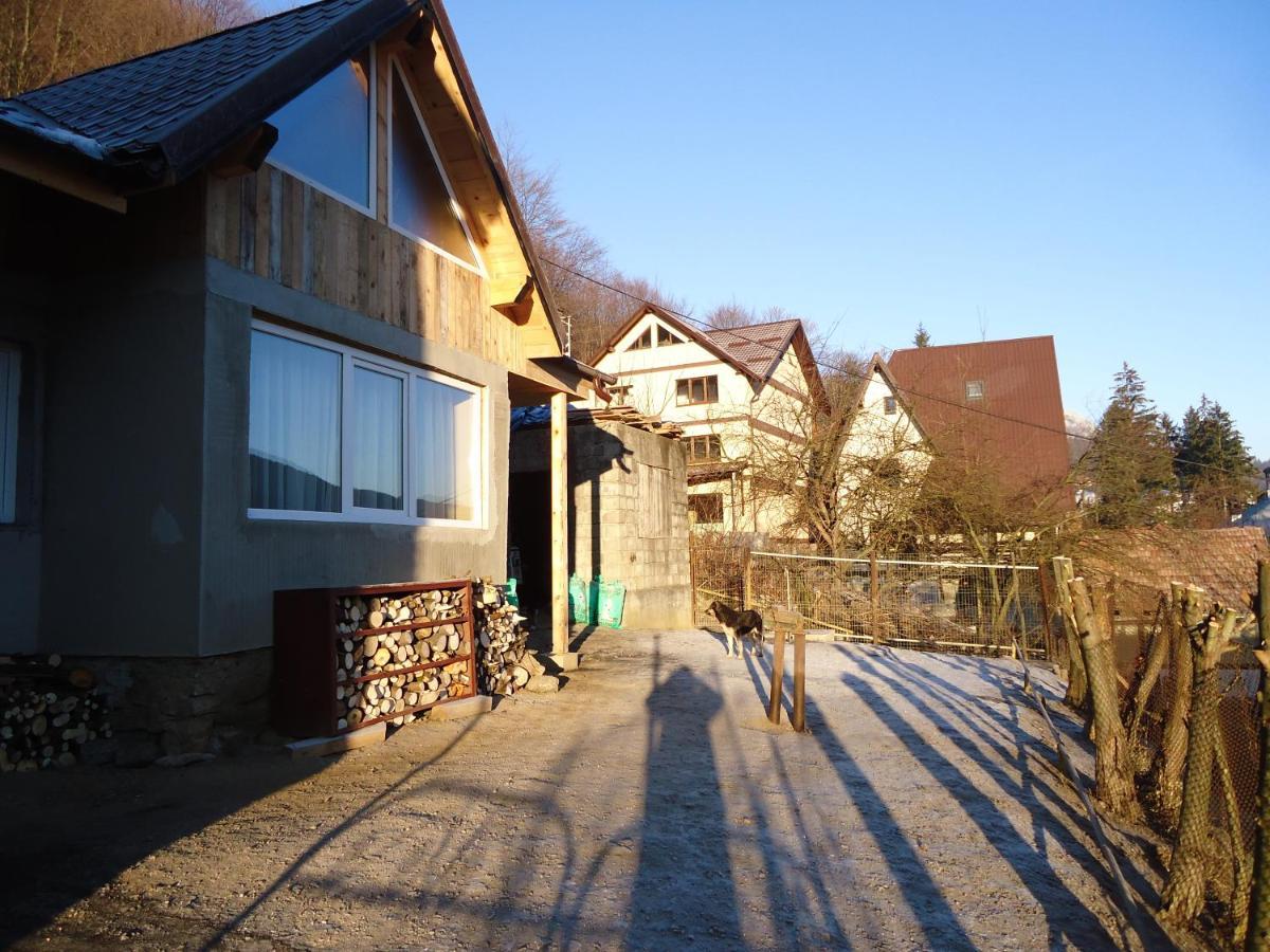 Villa Casa Serban à Sinaia Extérieur photo