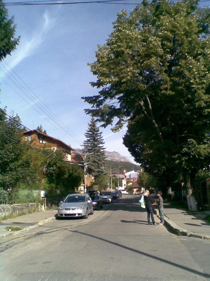 Villa Casa Serban à Sinaia Extérieur photo