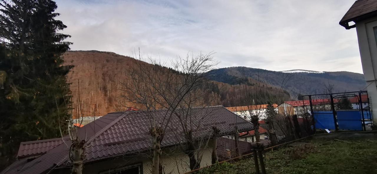 Villa Casa Serban à Sinaia Extérieur photo