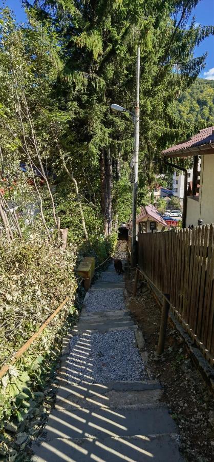 Villa Casa Serban à Sinaia Extérieur photo