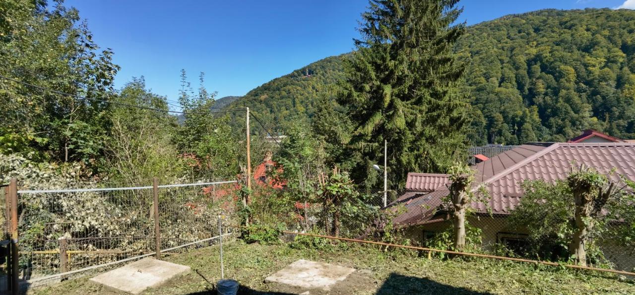 Villa Casa Serban à Sinaia Extérieur photo