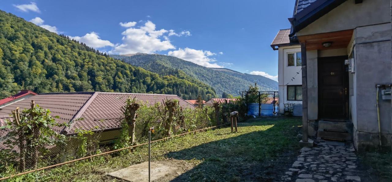 Villa Casa Serban à Sinaia Extérieur photo