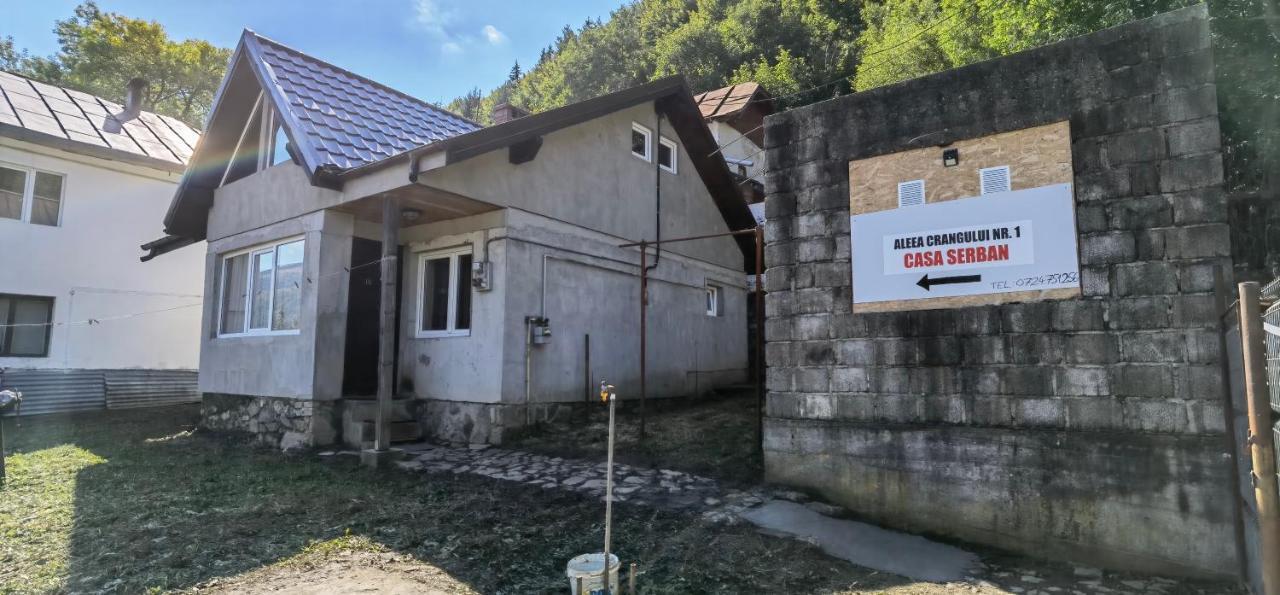 Villa Casa Serban à Sinaia Extérieur photo