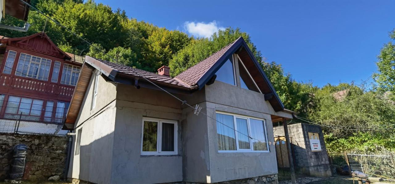Villa Casa Serban à Sinaia Extérieur photo