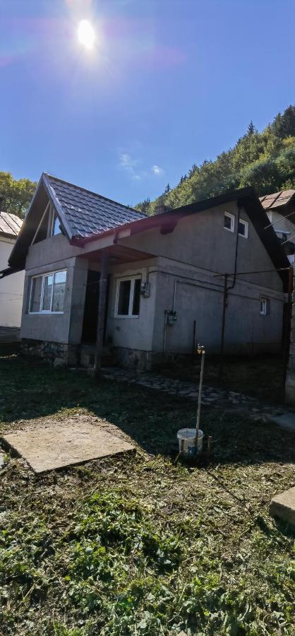 Villa Casa Serban à Sinaia Extérieur photo